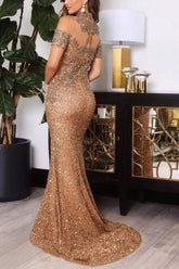 High Neck Short Sleeves Evening Dress Sequins Mermaid Long